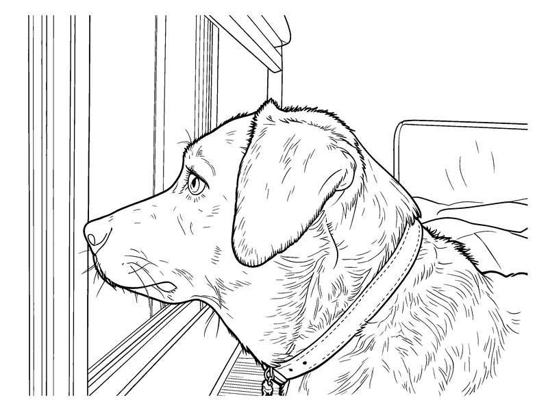 The same dog photo at the Detailed level: more fur texture and background
