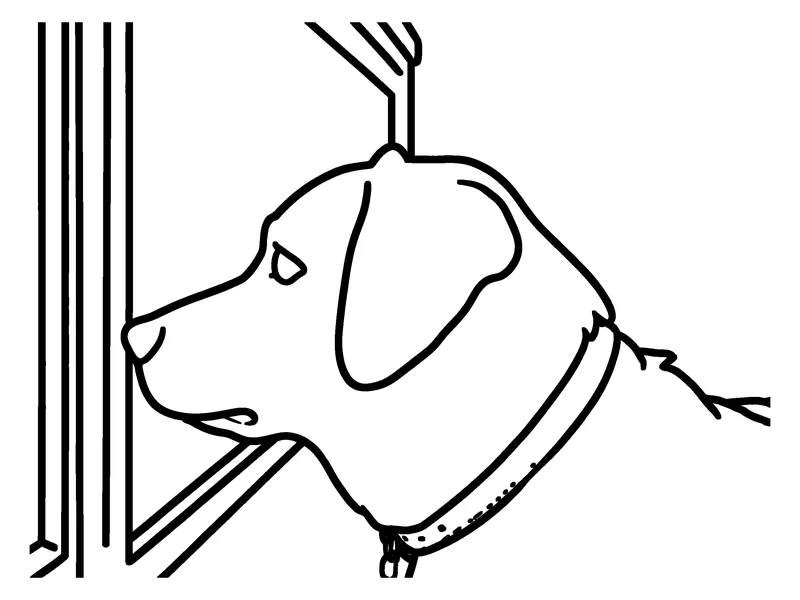 The dog photo turned into a coloring page at the Simple detail level: big shapes and few lines