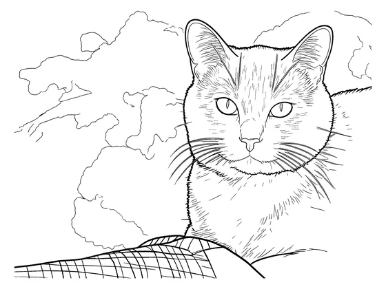 Coloring page of the cat at Detailed detail, with more fur and background lines