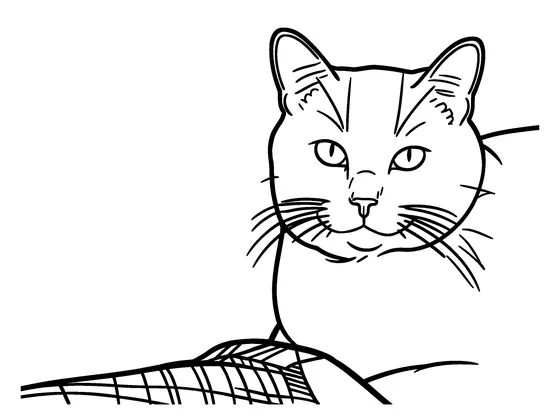 Coloring page of the cat at Simple detail, with few, bold lines