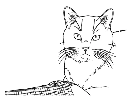 The pet coloring page this tool made from the cat photo at Standard detail
