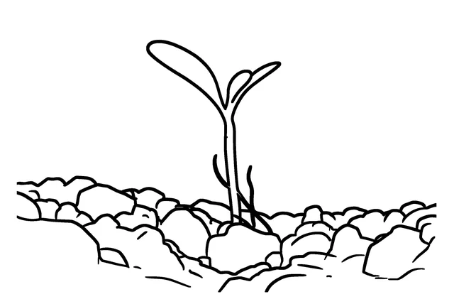 Simple coloring page of the seedling, with a few large shapes