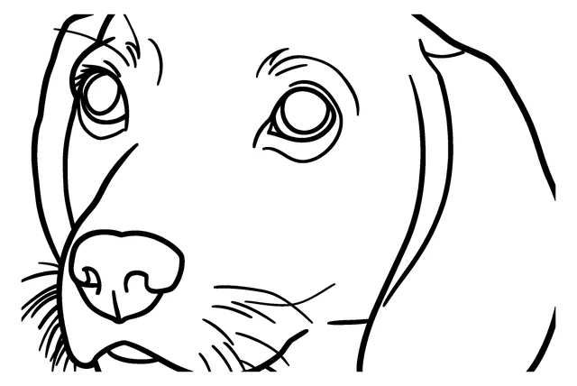 Photo to coloring page example at Simple detail: the beagle photo as a coloring page