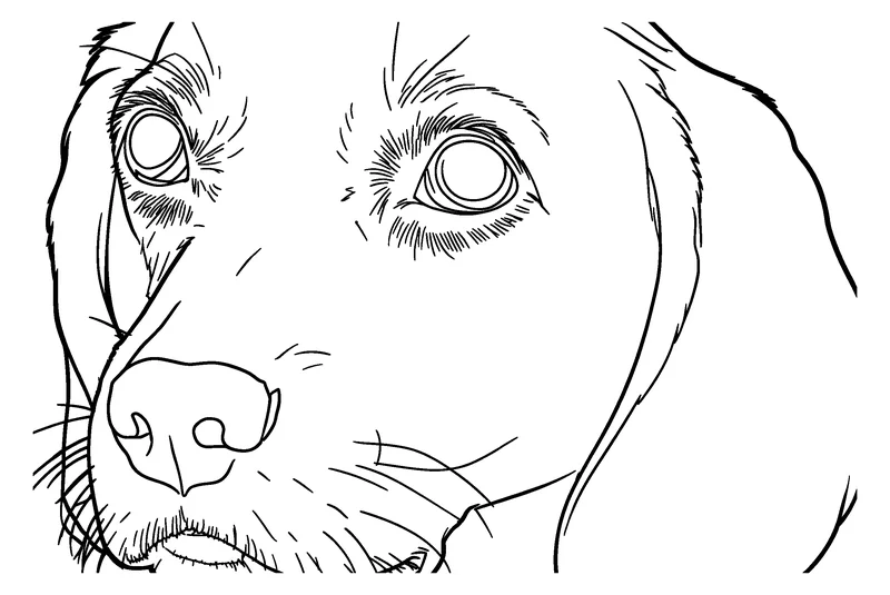 The coloring page this tool made from the beagle photo