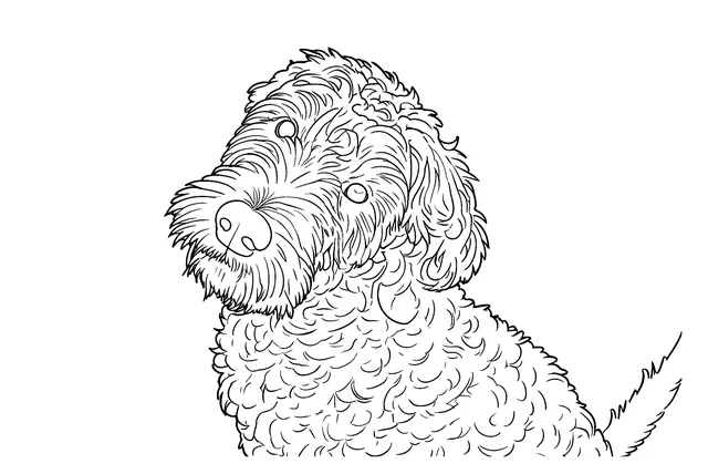Coloring page of the black puppy at Detailed detail, with more of the curls drawn