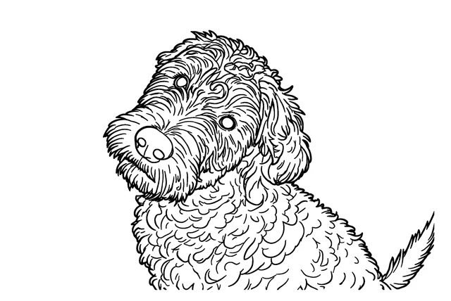 Coloring page of the black puppy at Standard detail: the face stays clear and the curls become open loops